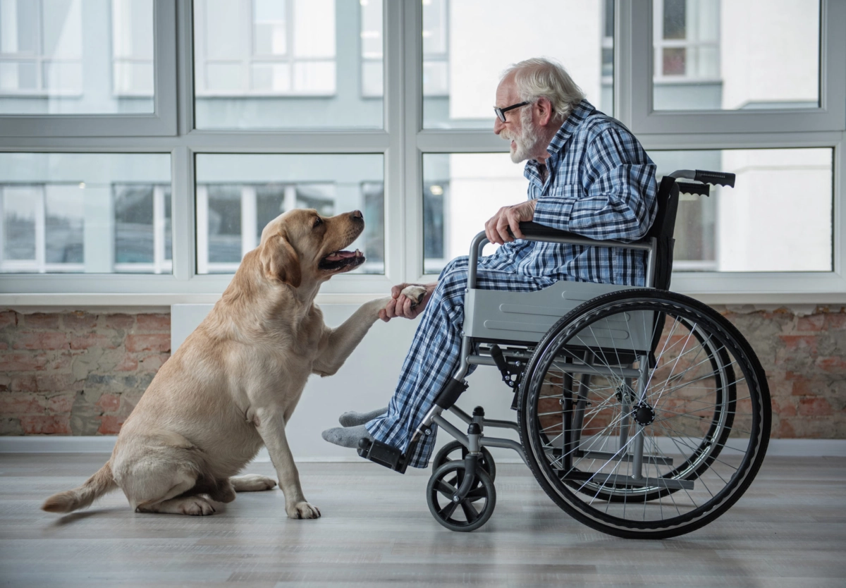 ältere Menschen kümmern sich con vita vi